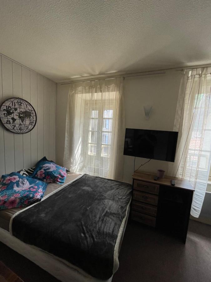 Superbe Appartement Au Bord De La Riviere Ax-les-Thermes Eksteriør bilde